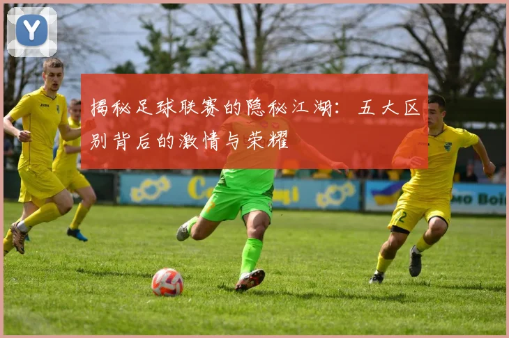 揭秘足球联赛的隐秘江湖:五大区别背后的激情与荣耀